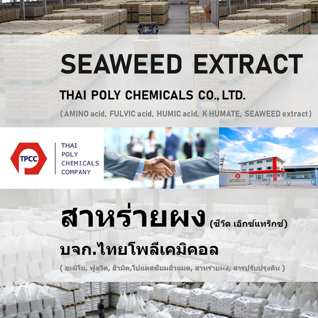 สารสกัดสาหร่ายทะเล, Seaweed extract, สาหร่ายผง, Seaweed powder, สาหร่ายสกัด, สาหร่ายดำ, ซีวีดเอ็กซ์แทร็ก